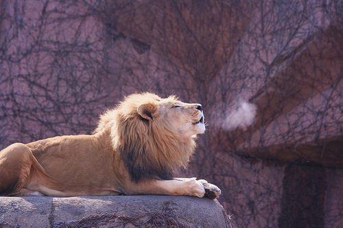 284114803_78a59f123174